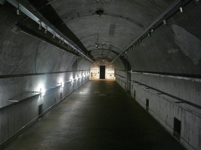 575264_10150868349161932_1235105027_n